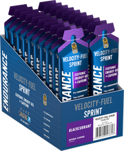 Applied Nutrition Endurance Isotonic Energy Gel Sprint