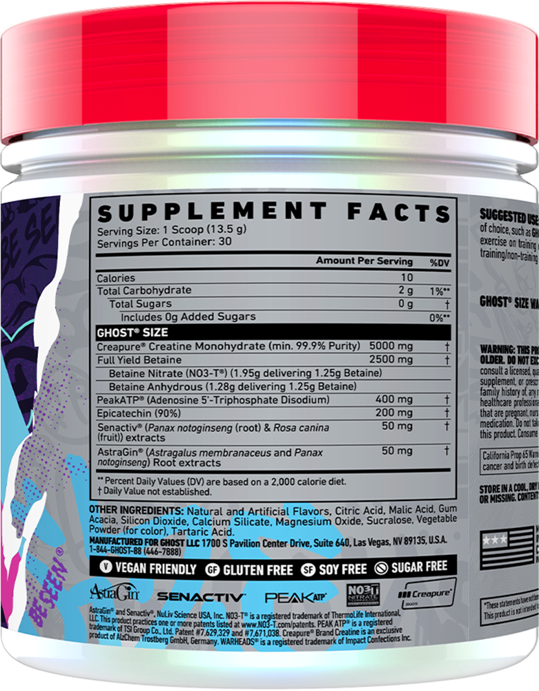 Ghost Size V3 Watermelon (30 servings)
