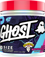 Ghost Size V3 Watermelon (30 servings)