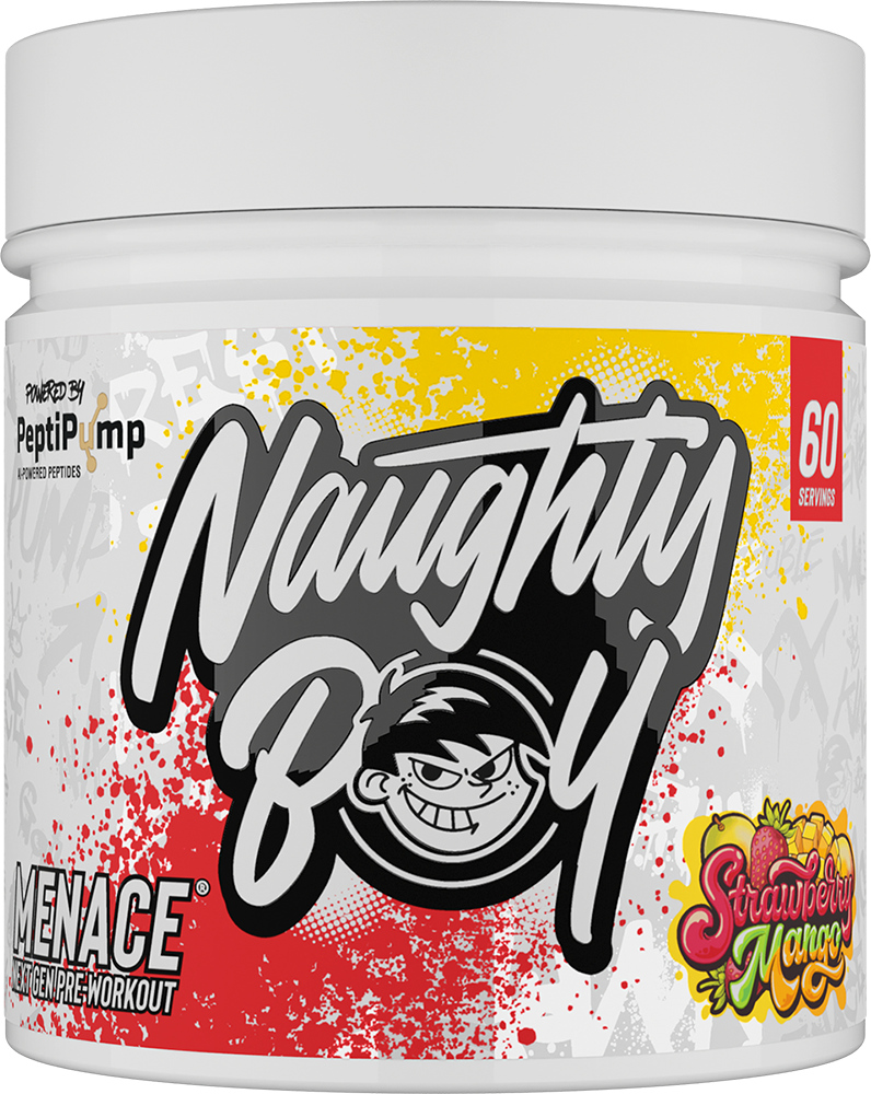Naughty Boy Menace V2