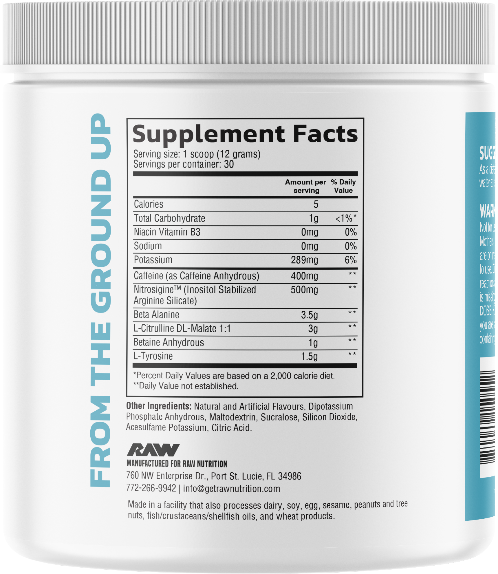 RAW Pre Extreme Kiwi Blueberry (360 g)