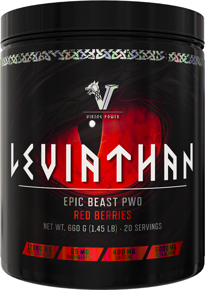 Viking Power Leviathan Hardcore PWO Red Berries (660 g)