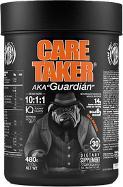 Zoomad Caretaker BCAA Silk Orange (480 g)