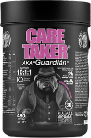 Zoomad Caretaker BCAA Strawberry Cream (480 g)