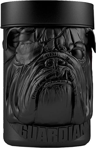 Zoomad Caretaker BCAA Strawberry Cream (480 g)