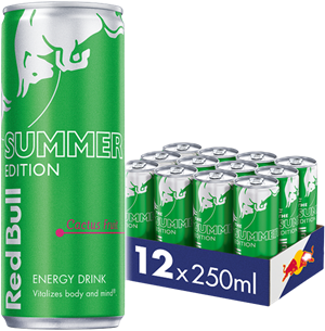 Red Bull Summer Edition Cactus 12 x 250 ml